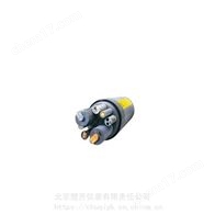 YSI 6600EDS型多参数水质监测仪