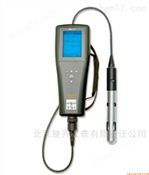 Pro20溶解氧测量仪
